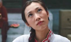 特种兵之火凤凰高清免费观看